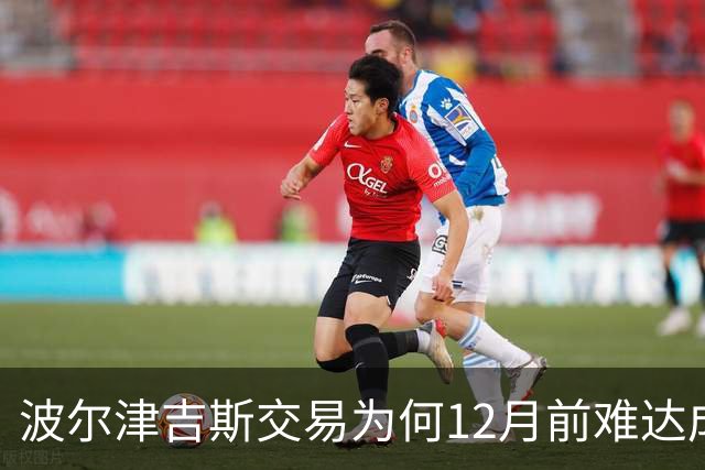 波尔津吉斯交易为何12月前难达成？美记点出两大障碍