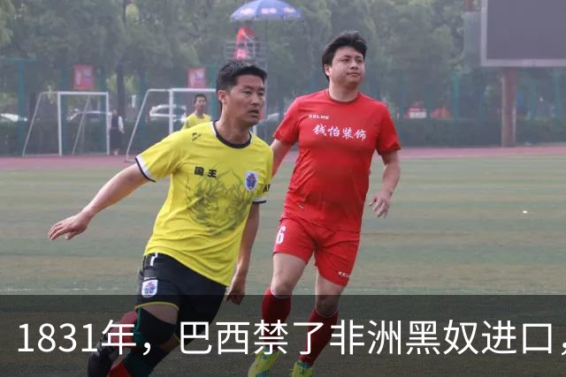 1831年，巴西禁了非洲黑奴进口，一庄园主脑洞大开，挑了个最强壮的黑人帕塔·塞卡，配齐100个老婆，好吃好喝伺候着，就一个任务：拼命生娃