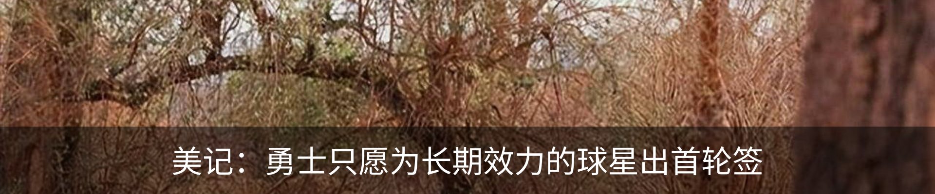 资讯中心